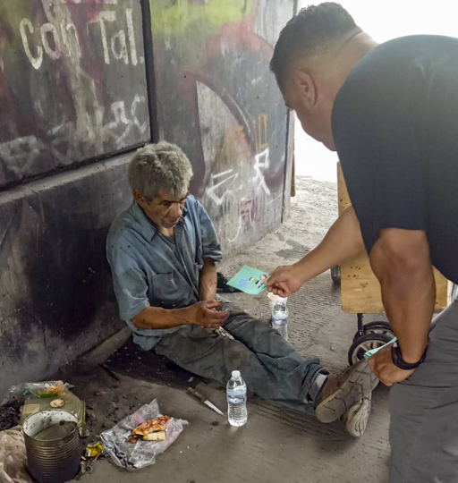 Sembrando la semilla